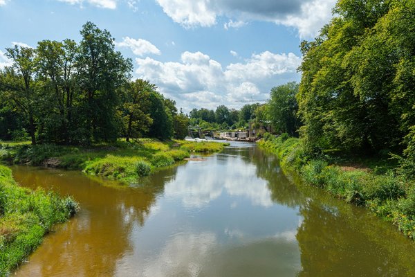Avantages et inconvénients du cardio-training en salle de sport